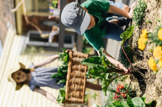 Activités Éducatives dans Jardin pour Enfants : Comment initier les enfants au jardinage de manière ludique?