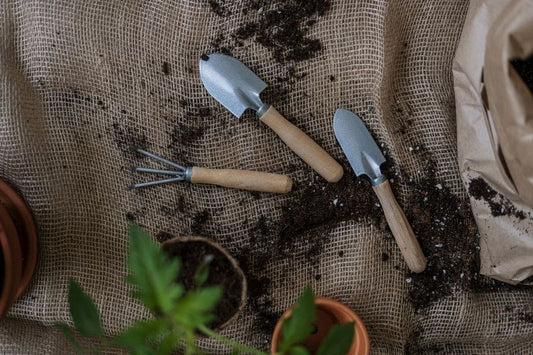 Votre Guide pour Sélectionner les Meilleurs Outils de Jardinage