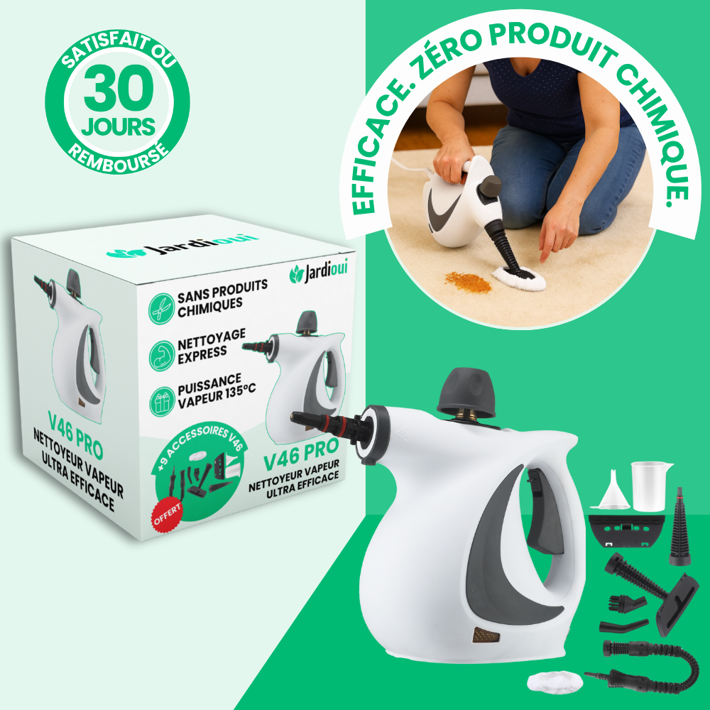 Nettoyeur Vapeur Compact Multi-Surfaces | V46 PRO