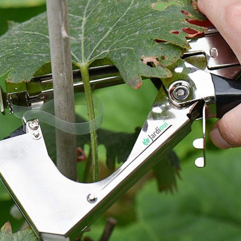 Pince à palisser - Attache branche Révolutionnaire