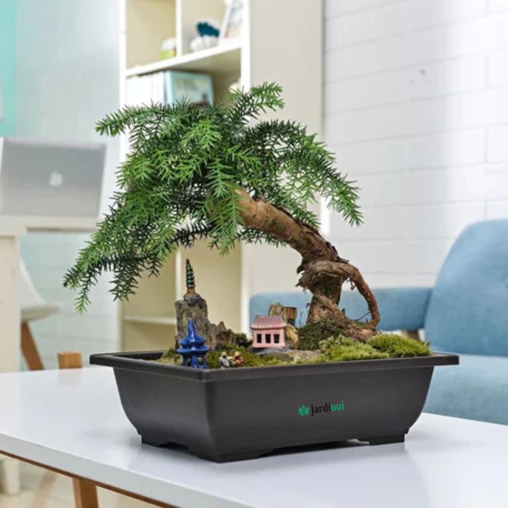 Jardinière Rectangulaire Élégante