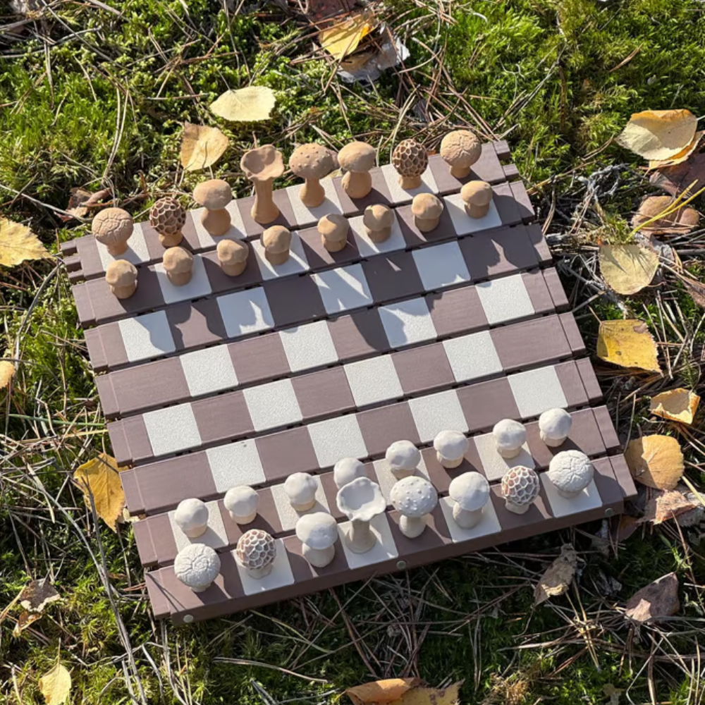 Échiquier Champignons Magnétique Fantaisiste