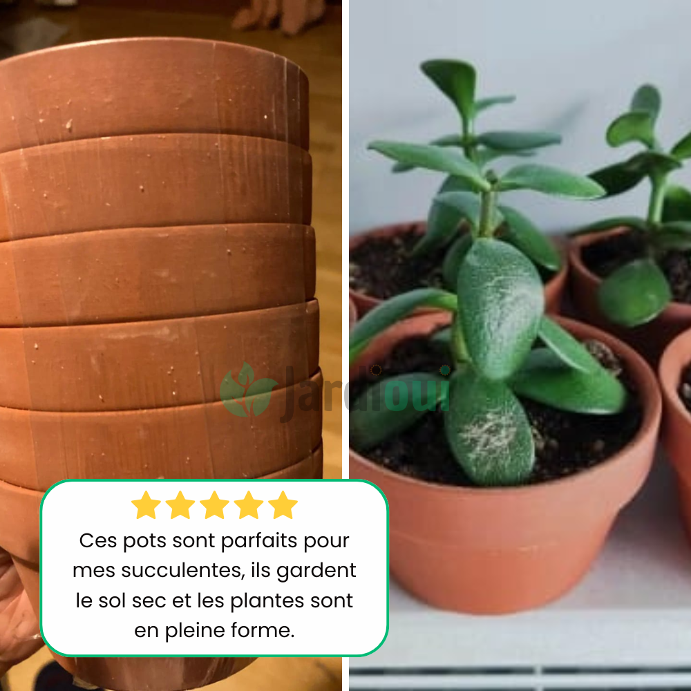 Pots de Fleurs en Terre Cuite Écologiques (4 + 2 Offerts)