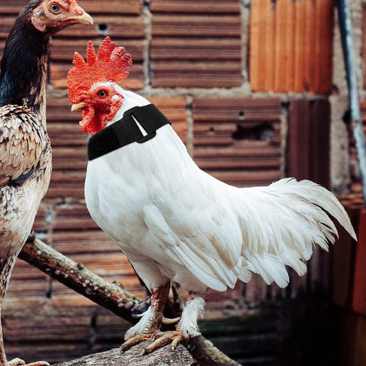 Collier Anti-Cri Réglable pour Poulets