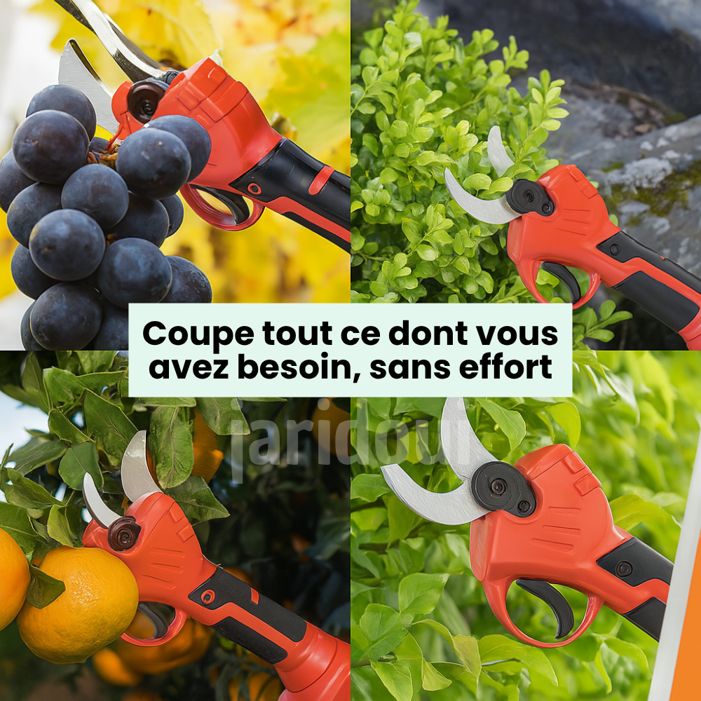 Sécateur Électrique Sans Fil | SecaPro
