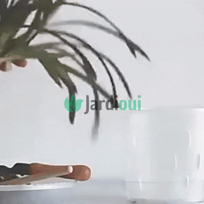 Pots de Culture Transparents Aérés Premium