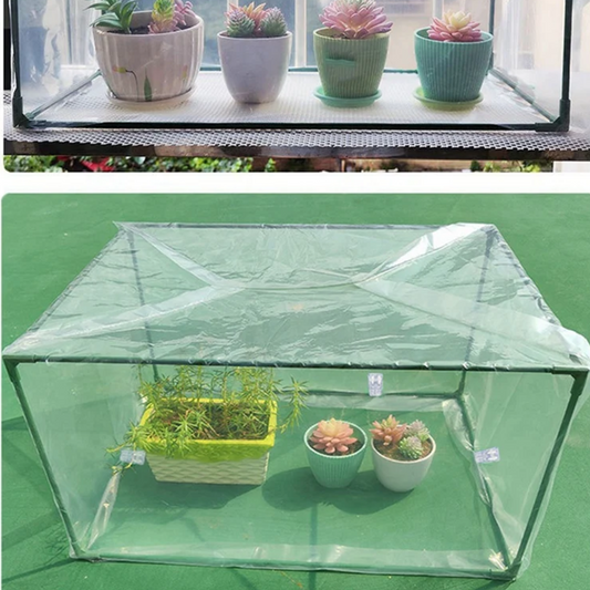 Jardioui 1 Mini Serre (34.90 €/ pcs) Mini Serre Protectrice Compacte Transparente
