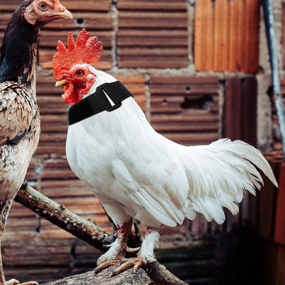 Jardioui 10 Colliers (2.90 €/ pcs) / Noir Collier Anti-Cri Réglable pour Poulets