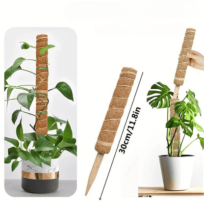 Jardioui 30cm / Lot de 2 colonnes Tuteur pour Plante Grimpante Robuste (+50m de Ficelle Offert)