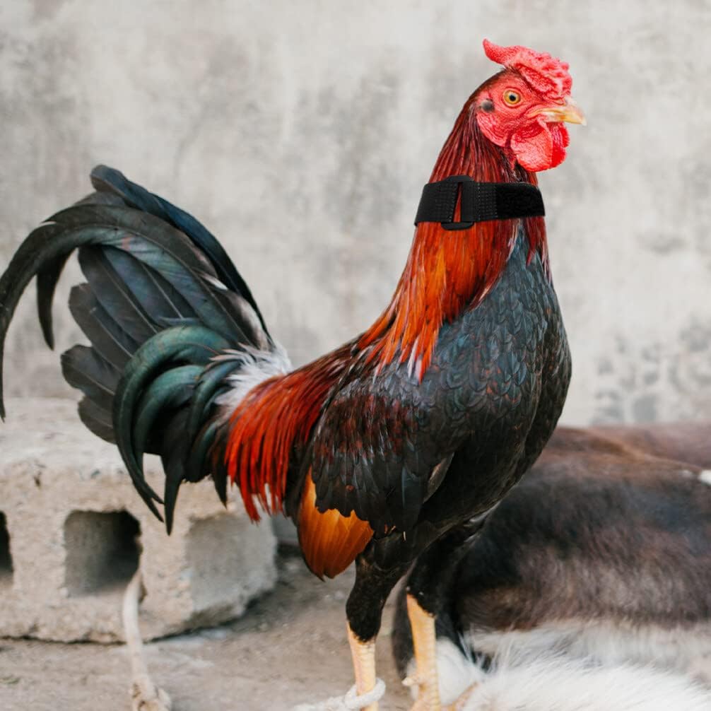Jardioui Collier Anti-Cri Réglable pour Poulets