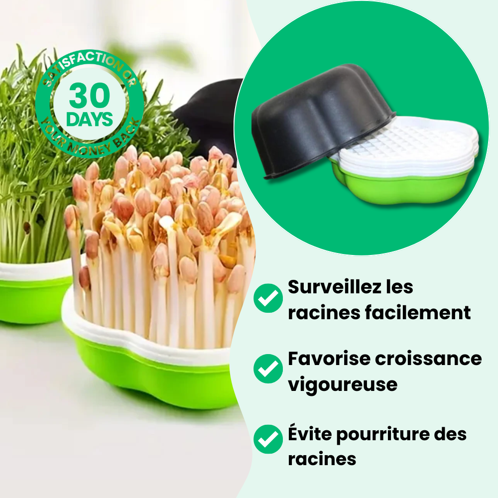 Jardioui Plateau de Culture Hydroponique Maison Innovant