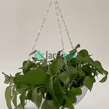 Jardioui Pot de Fleur Boule à Facette Éclatant