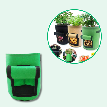 Jardioui 0 Vert / 1 Sac (24.90 €/ pcs) Sac de Culture de Pommes de Terre Croissance